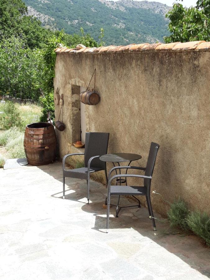 Casa Franceschi Bed & Breakfast Pioggiola Exterior photo